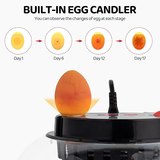 12 Egg Incubator with Automatic Egg Turning,Chicken Egg Incubator,LED Egg Candler,Automatic Farm Poultry Egg Incubators,for Hatching Chickens,Ducks,Geese,Birds,Pigeons and Quail Eggs (Red & Black)