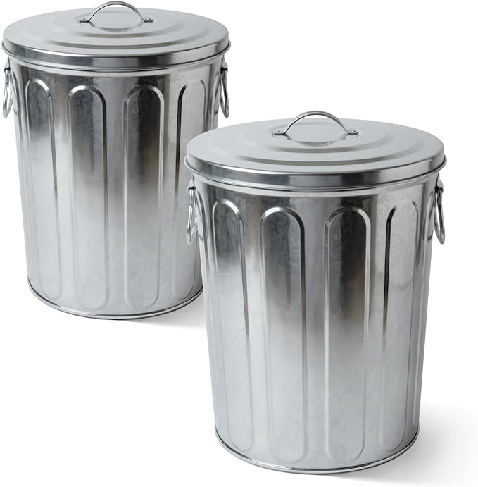 Plexon 5 Gallon Small Metal Trash Can with Lid Outdoor Galvanized Bucket with Lid 5 Gal Fireplace Ash Bucket for Wood Stove Storage Can for Dog Food Bird Seed Storage Container Rodent Pet Proof 2 Pack