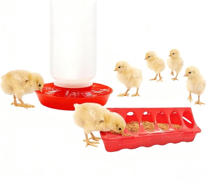 12-Hole No-Scratch & Spill-Proof Chick Feeder, Leak-Resistant Chick Waterer, and Poultry Waterer with Perches - Complete Brooder/Coop Starter Kit for Raising Poultry (A Set)