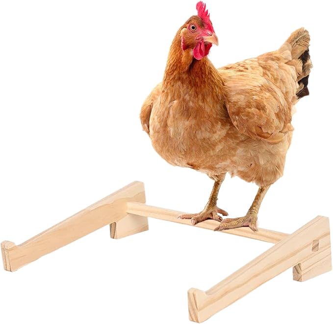Chicken Roosting Bar, – Wooden Pets Perch Stand, Hen Chicks Birds Parrot, Play Perching Training Support Brooder | Hen Chicks Birds Parrot Play Perching Training Support Brooder Coop
