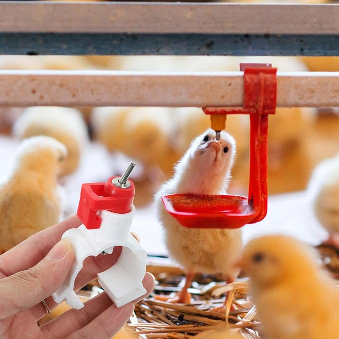 VICASKY Quail Waterer Rabbit Watering System Chicken Cups Feeder 20pcs Drinker Water Dispenser Ball Automatic Nippler Chick ABS Poultry with Steel Control