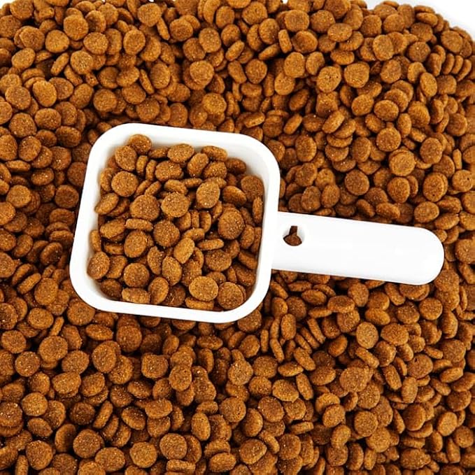 EveryYay by Petco Serve & Preserve Food Storage 35 lbs.