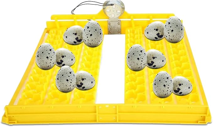 Egg Incubator, 132Grids Eggs Automatic Egg Turner Turning Tray for Automatic Egg Incubator Tray Incubation Accessory (110V)