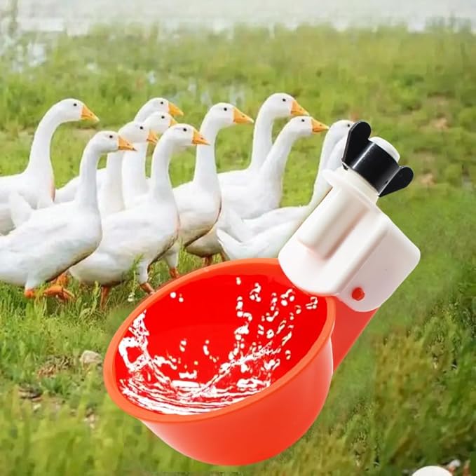 Chicken Waterer Cups, 24 Pack Poultry Water Feeder with Drill, Large Poultry Waterer Automatic Waterer for Chicken Coop, Duck, Chicks, Goose, Turkey, Bunny, Bird (Red, 24 Pack)