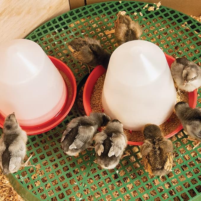 Premier 1 Poultry Feeder/Waterer Stand
