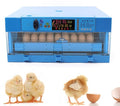 64 Eggs Incubator Digital,Automatic Egg Incubator, Eggs Chicken Quail Chick Hatcher, Hatching Mechine with Temperature Control Digital Display ﻿ ﻿ ﻿
