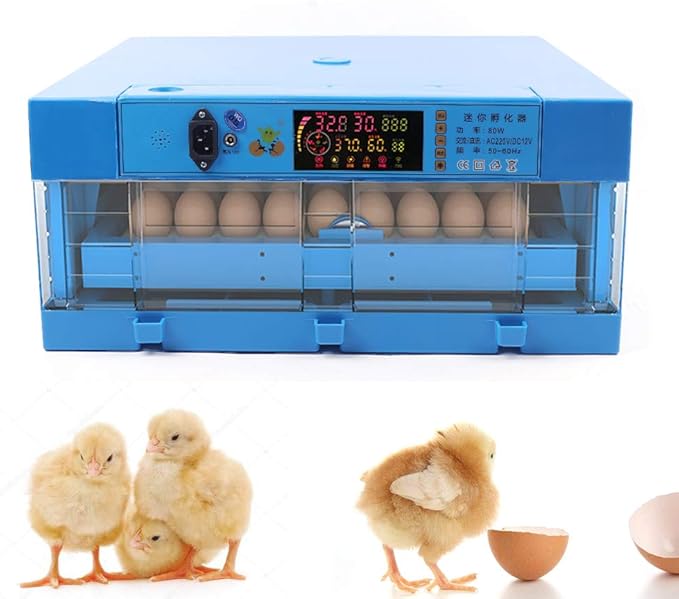 64 Eggs Incubator Digital,Automatic Egg Incubator, Eggs Chicken Quail Chick Hatcher, Hatching Mechine with Temperature Control Digital Display ﻿ ﻿ ﻿