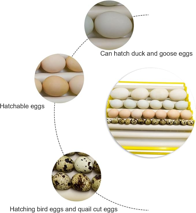 GLOGLOW Egg Incubation Tray, Automatic Egg Turner with 7 Rollers for Chicken Duck Bird Quail Hatching Home Farm Use 16.9x16.7x2.1 Inch