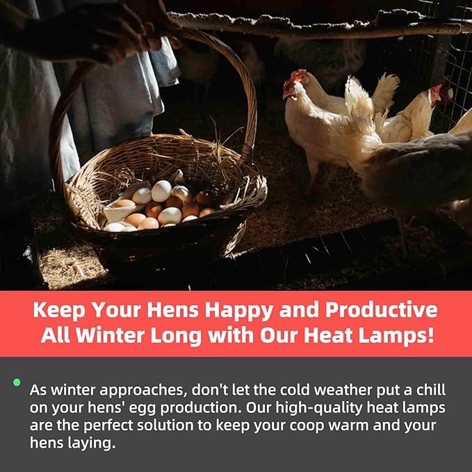 Chicken Coop Heater Inside Coop heat lamp，300 Watt Two-Stage Temperature Brooder Heater for Chicks, Duck，Poultry