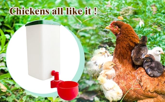 Automatic Waterer System Chick Drinker Cups 1L Hanging Automatic Fill Poultry Watering Cup Used for Cages (2)