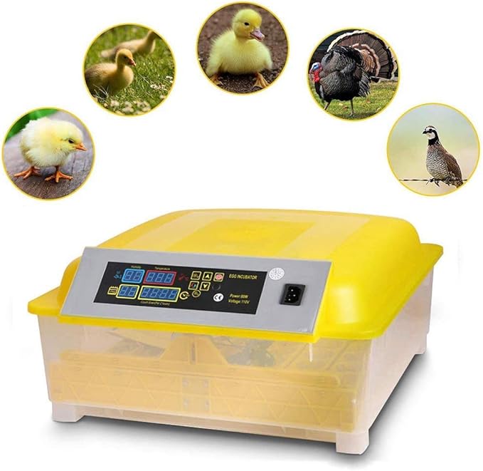 Incubators for Hatching Eggs Automatic Turning Digital Temperature Control Poultry Hatcher 48 Eggs for Chickens Ducks Birds (Size : 110v)(110v)