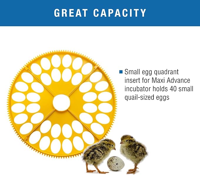 Brinsea Small Egg Quadrant Insert for Maxi Advance Incubator System, Fits 40 Pheasant or Quail-Size Eggs