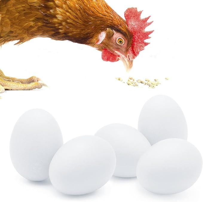 SunGrow Fake Wooden Eggs to Train Birds from Laying in The Nesting Boxes & to Stop from Eating Own Eggs, White Color, 5 Pack Suitable for Chicken and Duck