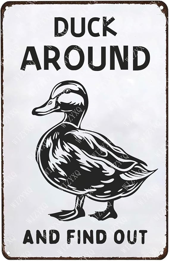 Metal Signs Duck Around And Find Out Sign Vintage Aluminum Tin Sign for Home Farmhouse Farm Wall Decor 12x8 Inch