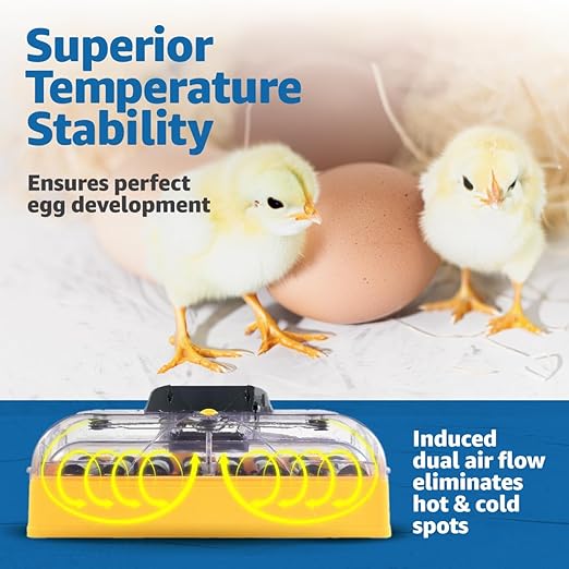 Brinsea Ovation 56 EX Connect App Controlled Egg Incubator with Automatic Egg Turning and Humidity Control for Hatching 56 Chicken, Duck, Other Eggs, Precision App-Driven Digital Controls and Alarms