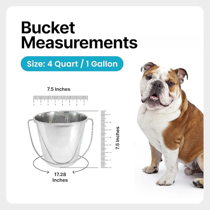 Heavy Duty Stainless Steel Bucket 1 Gallon - 4 Quart Flat Side Metal Bucket for Feeding & Watering Pets, Livestock & Cleaning - Perfect for Crates, Kennels, Cages & Hang on Fences