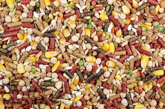 Chicken Feed, Whole Ingredient Chicken Treat, Wied Variety of Grains Poultry Feed (10 Pound (Pack of 1), High-Octain (High Protein))