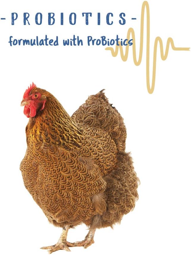 Manna Pro Chicken Grit with Probiotics – Crushed Granite Grit for Backyard Chickens, Supports Healthy Digestion and Gizzard Function, Ideal for Laying Hens and Small Flocks, 5 lb Bag