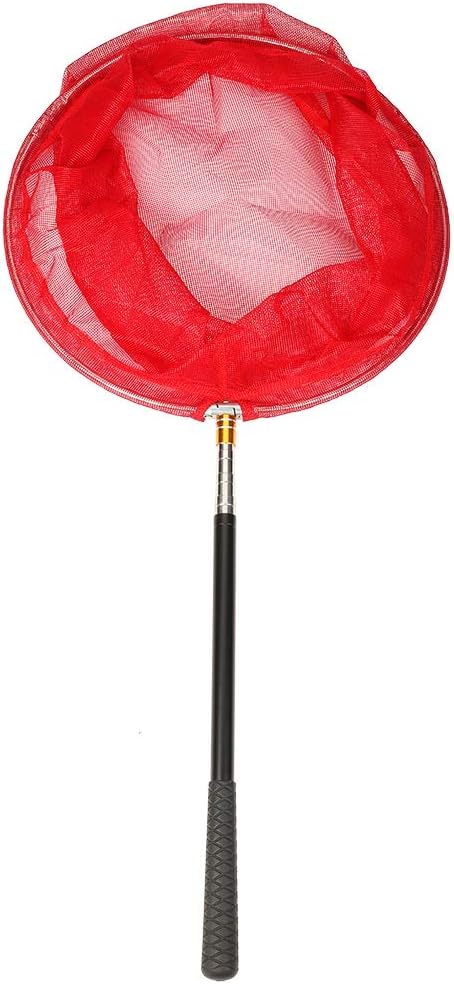 RESTCLOUD Bait Net and Fishing Landing Net with Telescoping Pole Handle Extends to 59 inches