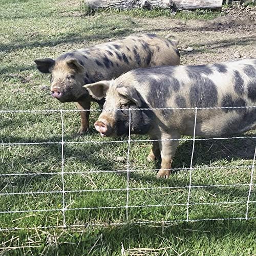 Premier 1 Pig QuikFence® Starter Kit | White/Black Electric Net Fence – 30"H x 100'L (2 Rolls), Includes: Solar Energizer, FiberTuff Support Posts and Tester