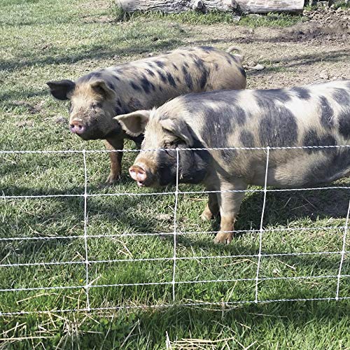 Premier 1 Pig QuikFence® Electric Netting | White/Black Single Spike High Visibility Fence – 30"H x 100'L
