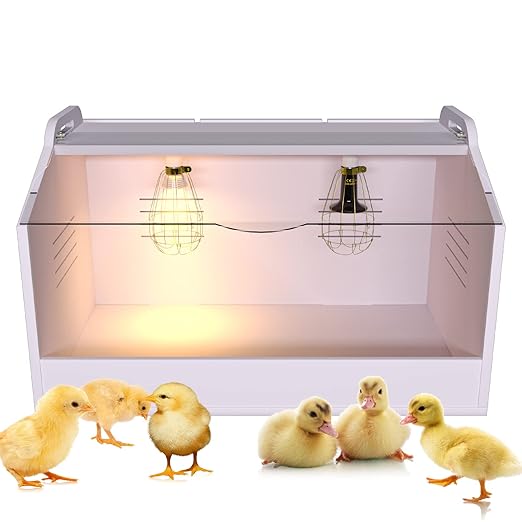 Brooder Box for Chicks ，Chick Brooder Heat up to 35 Chicks with Heat Lamp Set Brooder Box，Suitable for Chicks/Duck/Parrot/Lizard （31" X 16" X 16"）