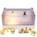 Brooder Box for Chicks ，Chick Brooder Heat up to 35 Chicks with Heat Lamp Set Brooder Box，Suitable for Chicks/Duck/Parrot/Lizard （31" X 16" X 16"）