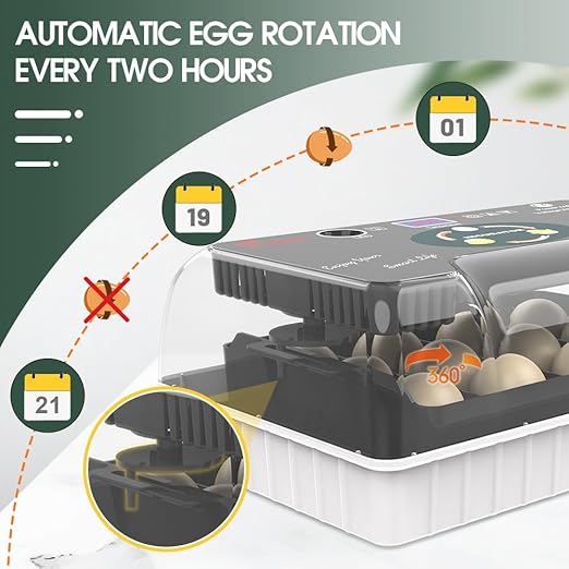12 Egg Incubator - Automatic Egg Turner, Temperature Control, Built-in Candler, Auto Water Refill for Hatching Chicken, Duck, Quail & Bird Eggs