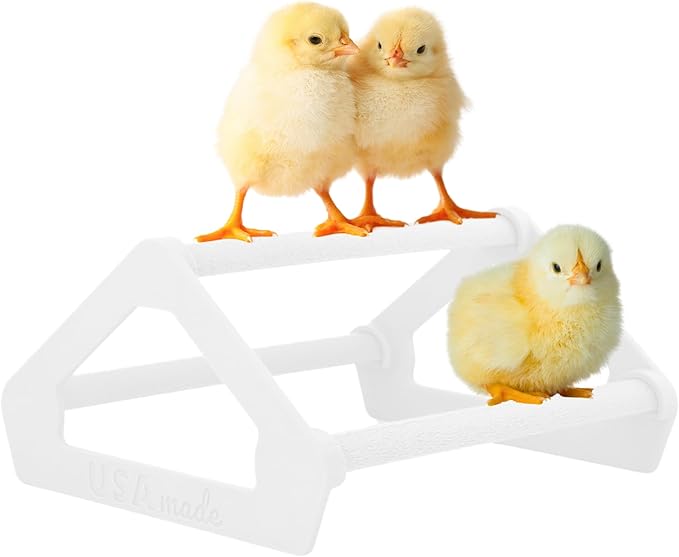 Roosting Perch for Baby Chickens, Chick Brooder Coop Training Toy Accessory, Easy Click Together Assembly, Durable Plastic, Mix and Match Colors, USA Made (White, 1 Pack)