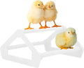 Roosting Perch for Baby Chickens, Chick Brooder Coop Training Toy Accessory, Easy Click Together Assembly, Durable Plastic, Mix and Match Colors, USA Made (White, 1 Pack)