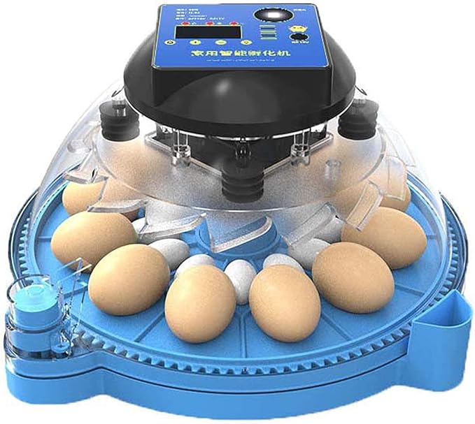 Egg Incubators, Round Poultry Hatcher, Automatic Temperature Control Digital Display Incubator, for Hatching Chick Duck Goose Pigeon Quail Bird Eggs (12 Pieces)