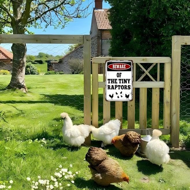 Beware of The Tiny Raptors Vintage Metal Sign, Chicken Art 7.8"11.8" Inches, Chicken Coop Farm Decor with Pre-Drilled Holes