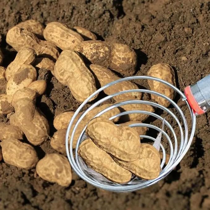 Peanut Picker, Egg Grabber & Nut Gatherer - 42in Adjustable Telescopic Stainless Steel Tool for Chicken Eggs, Potato and Fruit Harvesting (Lightweight, Flexible Basket, Multifunctional Farm Use)