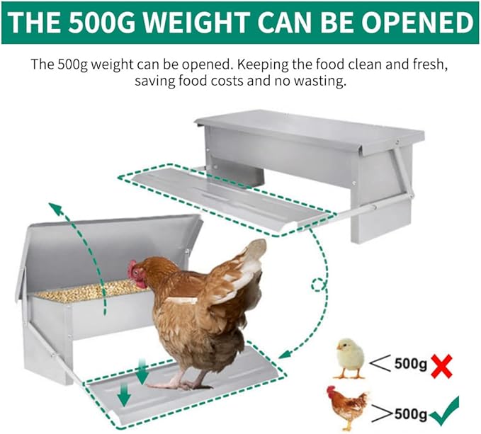 5L Automatic Chicken Feeder Poultry Treadle Galvanized Steel Trough for Roosters Pheasant Chicken Outdoor Coop, Rat Proof with Weatherproof Lid