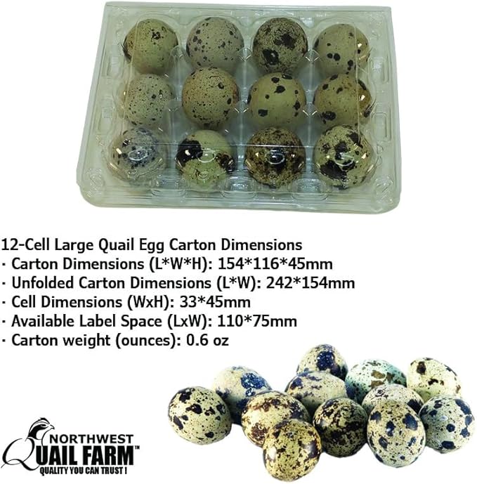 NWQuailFarm JUMBO Quail Eggs Cartons – 100 Pack - Holds 12 (3x4) Larger Quail Egg - Designed to hold Coturnix Jumbo Quail Eggs