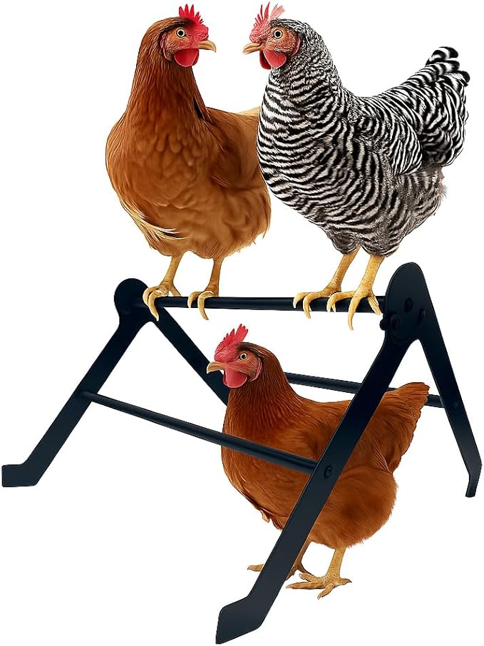 Chicken Roosting Bars for Coop – Heavy-Duty Stainless Steel Chicken Ladder & Perch for Chicks, Hens & Small Poultry, Easy to Assemble & Clean, 2-Tier Adjustable Design