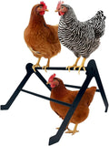 Chicken Roosting Bars for Coop – Heavy-Duty Stainless Steel Chicken Ladder & Perch for Chicks, Hens & Small Poultry, Easy to Assemble & Clean, 2-Tier Adjustable Design