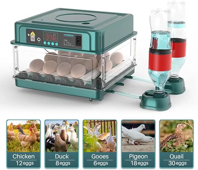 Automatic Egg Incubator 12-38 Egg Digital Poultry Hatcher Machine ith Automatic Egg Turning, Temperature & Humidity Control, Efficient LED Lighting for Chicken Geese Ducks Pigeons Quails (12 Eggs)