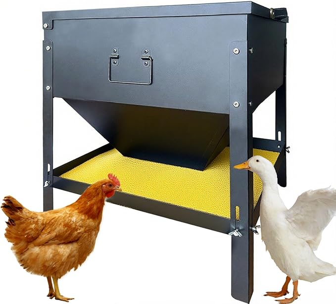 Large Capacity Automatic Chicken Feeder 80lbs Metal Poultry Feeder Set,with Latch & Handle Suitable for Chickens, Ducks, Turkeys（Adjustable Height）