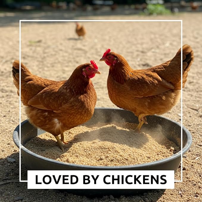 World’s Best Chicken Dust Bath – Natural Wood Ash, Sand & Fine Dust Blend – Safe for All Chickens (12 Ounces)
