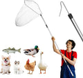 Chicken net Catcher, Chicken coop Accessories, 75 -inch Thickened Stainless Steel Catcher net, Suitable for Poultry and Outdoor Animals Such as Chickens, Birds, Goose, Duckling, Fish, etc.