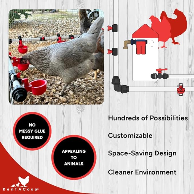 RentACoop Glueless Float Valve Kit Compatible with S.N.A.P 1/2" Schedule 40 PVC Pipe Watering System for Chickens, Poultry, and Other Animals