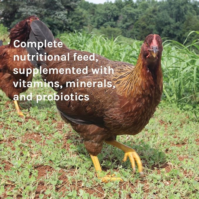 New Country Organics | Corn-Free Classic Layer Chicken Feed for Laying Hens | Corn-Free and Soy-Free | 17% Protein | Certified Organic and Non-GMO Chicken Food | 50lbs Bag