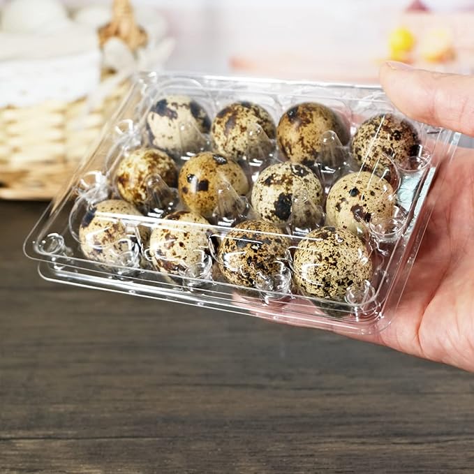 Quail Egg Cartons 60 Packs, Clear Eco-friendly Plastic Blank Egg Cartons with Free Labels, Holds up to 12 Quail Eggs Securely, Perfect for Family Pasture Farm Markets Display - Small