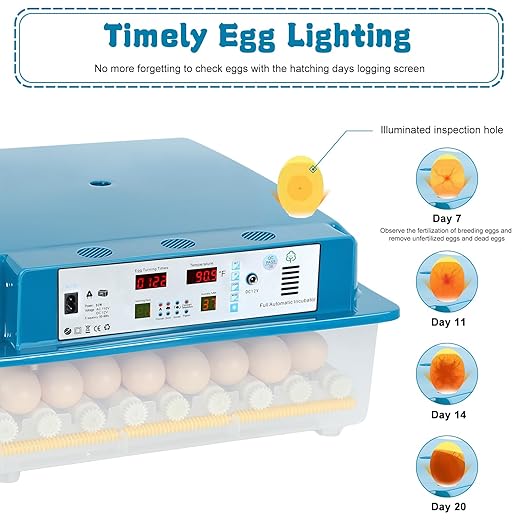 Incubators for Hatching Eggs,64 Egg Incubator with Automatic Turner, Digital Temperature & Humidity Control, Dual Power for Hatching Chicken, Duck, Goose, Bird, Quail Eggs
