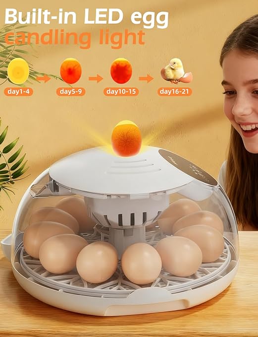 Incubators for Hatching Eggs, 12 Egg Incubator with Automatic Egg Turning and Temperature Humidity Control, Egg Candler incubadora de huevos de gallina for Home, Farm, Classroom, Chicken, Duck, Quail