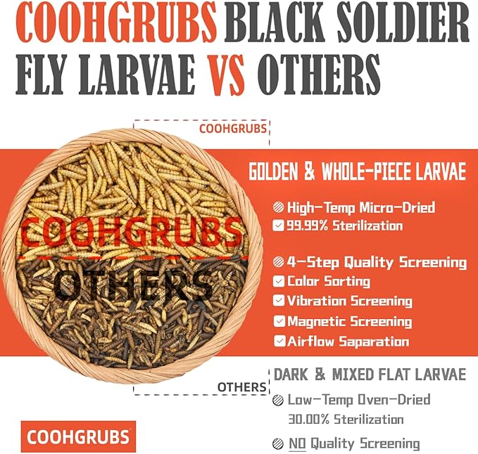 Black Soldier Fly Larvae for Chickens – 100% Natural Non-GMO Grubs, 85X More Calcium Than Dried Mealworms – Clean, Nutritious & Delicious High-Protein Poultry & Bird Treats, 2-lb Box