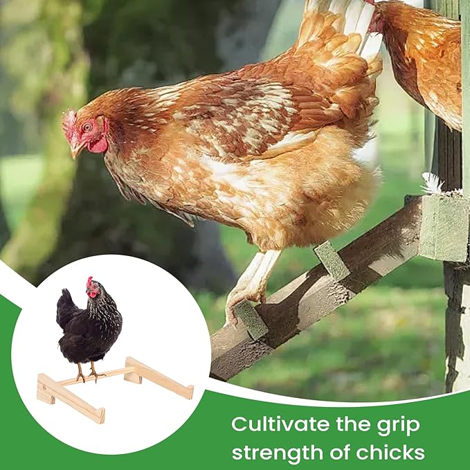 Chick Perch - 33x26.5x7.5cm Chicken Perch for Coop | Strong Wooden Roosting | Poultry Training Perchs Wood | Roosting Bar for Hen Chicks Birds Parrot Play Perching Training Support Brooder Chicke