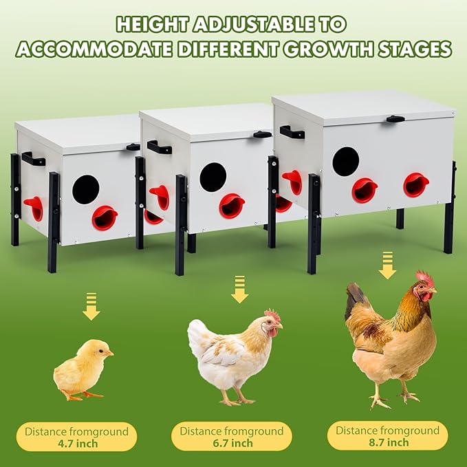 Metal Chicken Feeder with 6 Ports, 60 lbs Metal Poultry Feeder, Height Adjustable Weatherproof Feeding Box for Chickens, Geese, Ducks, Turkeys, Quails (60lbs-6 Ports)