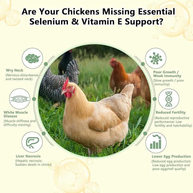 Selenium & Vitamin E Powder for Chickens, Selenium for Chickens, Immune System, Muscle Support & Prevents, Improve Wry Neck, Selenium, Vitamin E Supplements, Suitable for All Poultry
